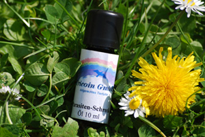 Parasitenschreck