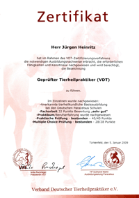 Zeugnis VDT